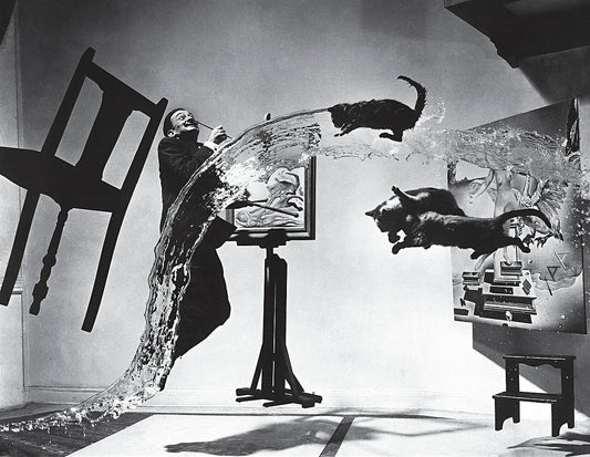 Dali Atomicus Surrealist Easels Cats Water Jumping Photo Poster Art Print