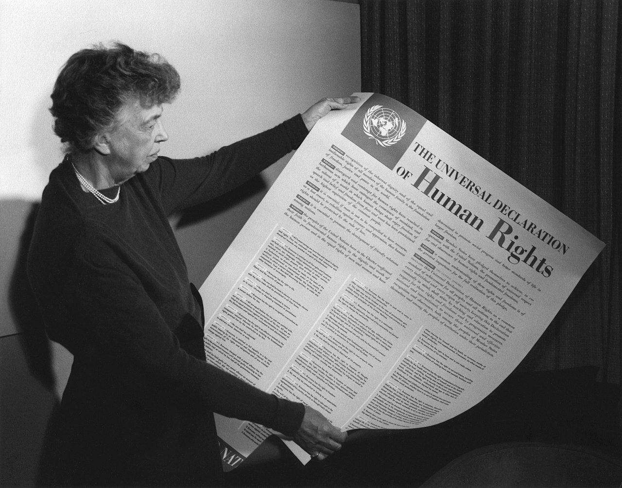 Universal Declaration of Human Rights UN Broadsheet Remake Poster Art Print