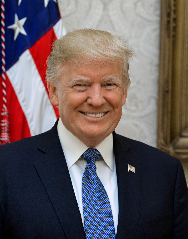 President Donald Trump Official White House Portrait Photo Poster Art Print