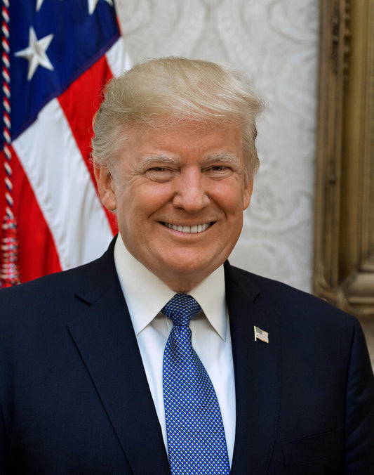 President Donald Trump Official White House Portrait Photo Poster Art Print