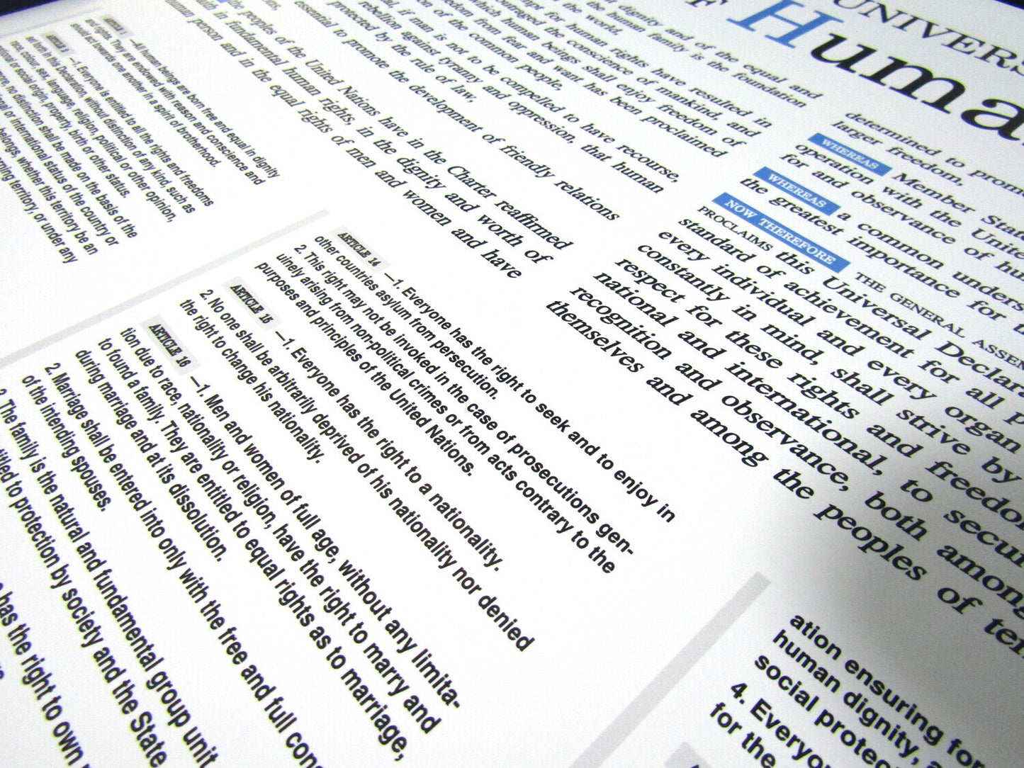 Universal Declaration of Human Rights UN Broadsheet Remake Poster Art Print