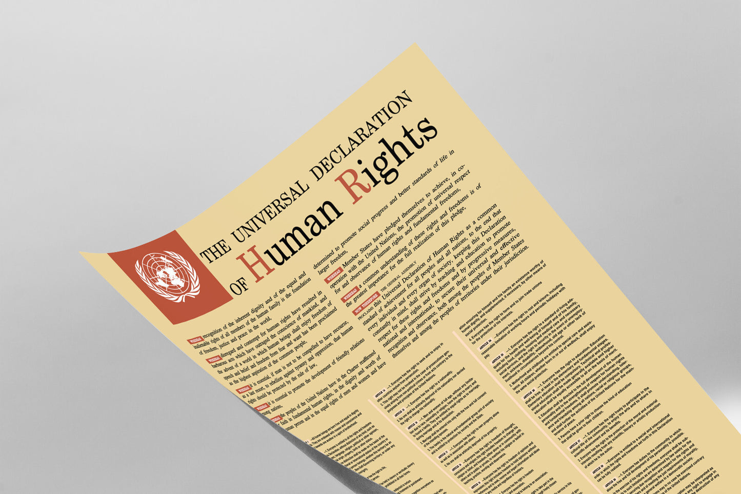 The image is a printed document titled "The Universal Declaration of Human Rights" with a large red circle on the left side containing the UN logo.
