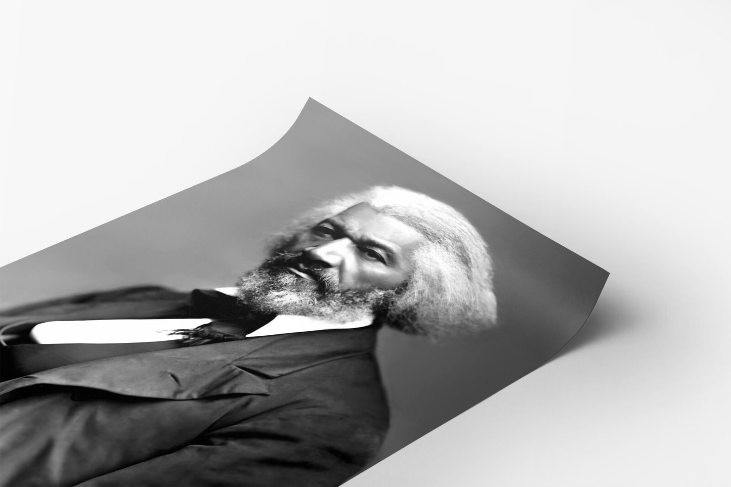 Frederick Douglass Portrait 1879 Civil RIghts Photo Poster Art Print