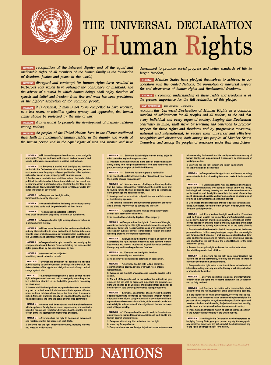 Universal Declaration of Human Rights UN Broadsheet Remake Poster Art Print