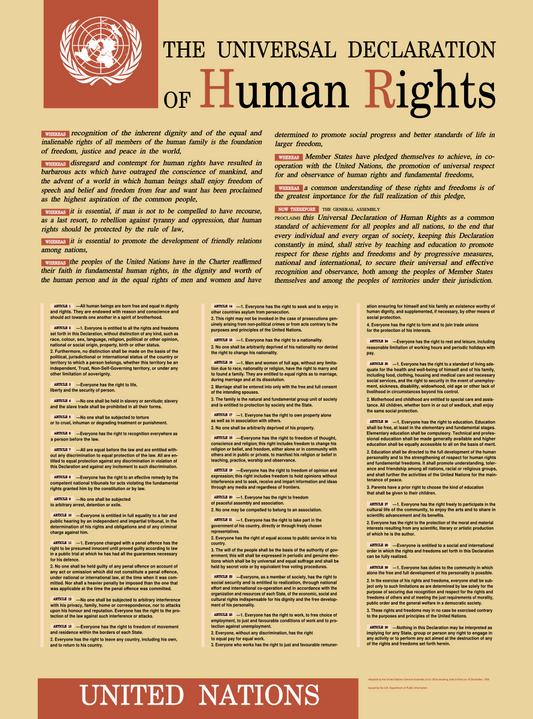 Universal Declaration of Human Rights UN Broadsheet Remake Poster Art Print
