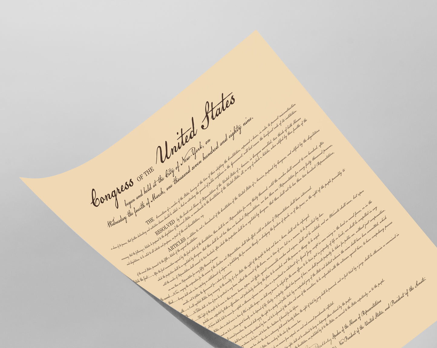 Bill of Rights U.S. United States 1787 Resolution Broadsheet Poster Art Print 24 x 26 in