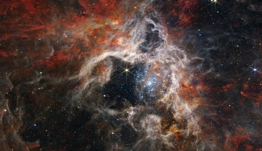 Tarantula Nebula James Webb Space Telescope Stars Space Photo Poster Art Print